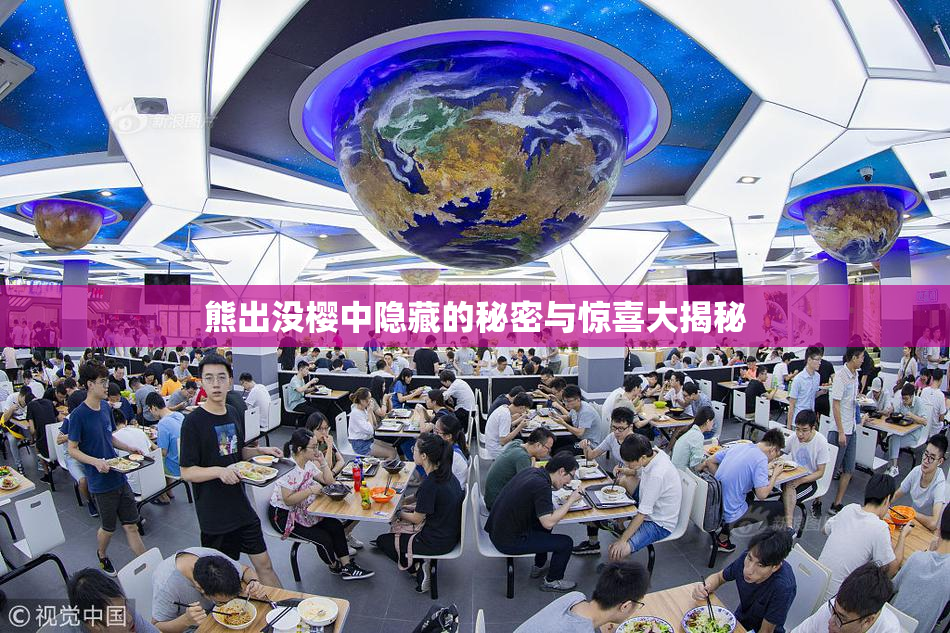 熊出没樱中隐藏的秘密与惊喜大揭秘