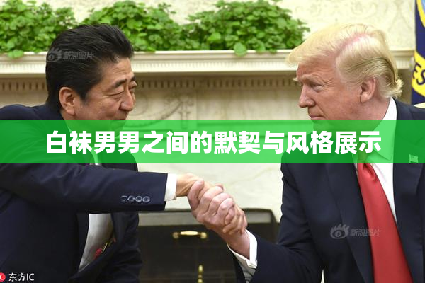 白袜男男之间的默契与风格展示
