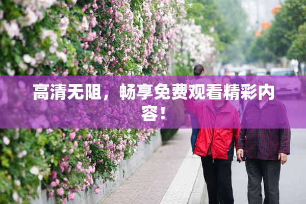 高清无阻，畅享免费观看精彩内容！