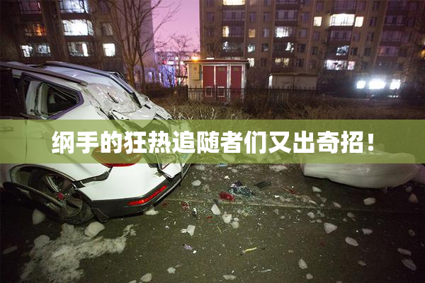 纲手的狂热追随者们又出奇招！
