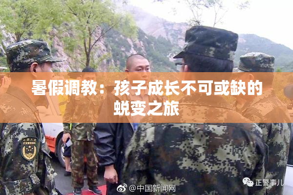 暑假调教：孩子成长不可或缺的蜕变之旅