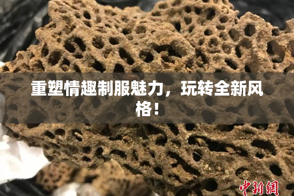 重塑情趣制服魅力，玩转全新风格！