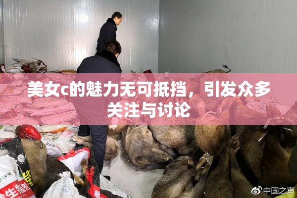 美女c的魅力无可抵挡，引发众多关注与讨论
