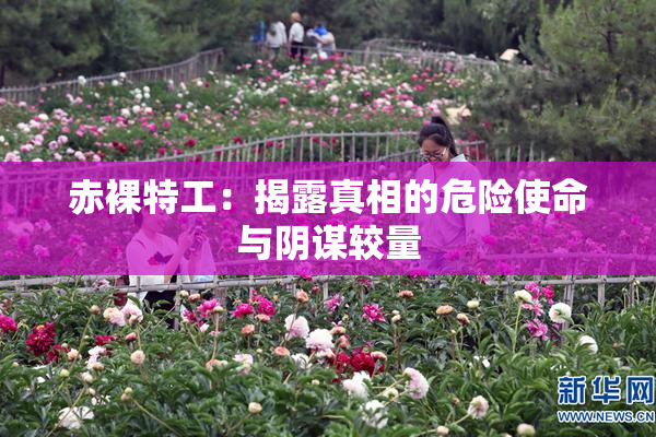 赤裸特工：揭露真相的危险使命与阴谋较量