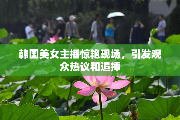 韩国美女主播惊艳现场，引发观众热议和追捧
