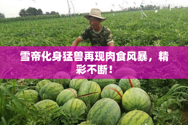 雪帝化身猛兽再现肉食风暴，精彩不断！
