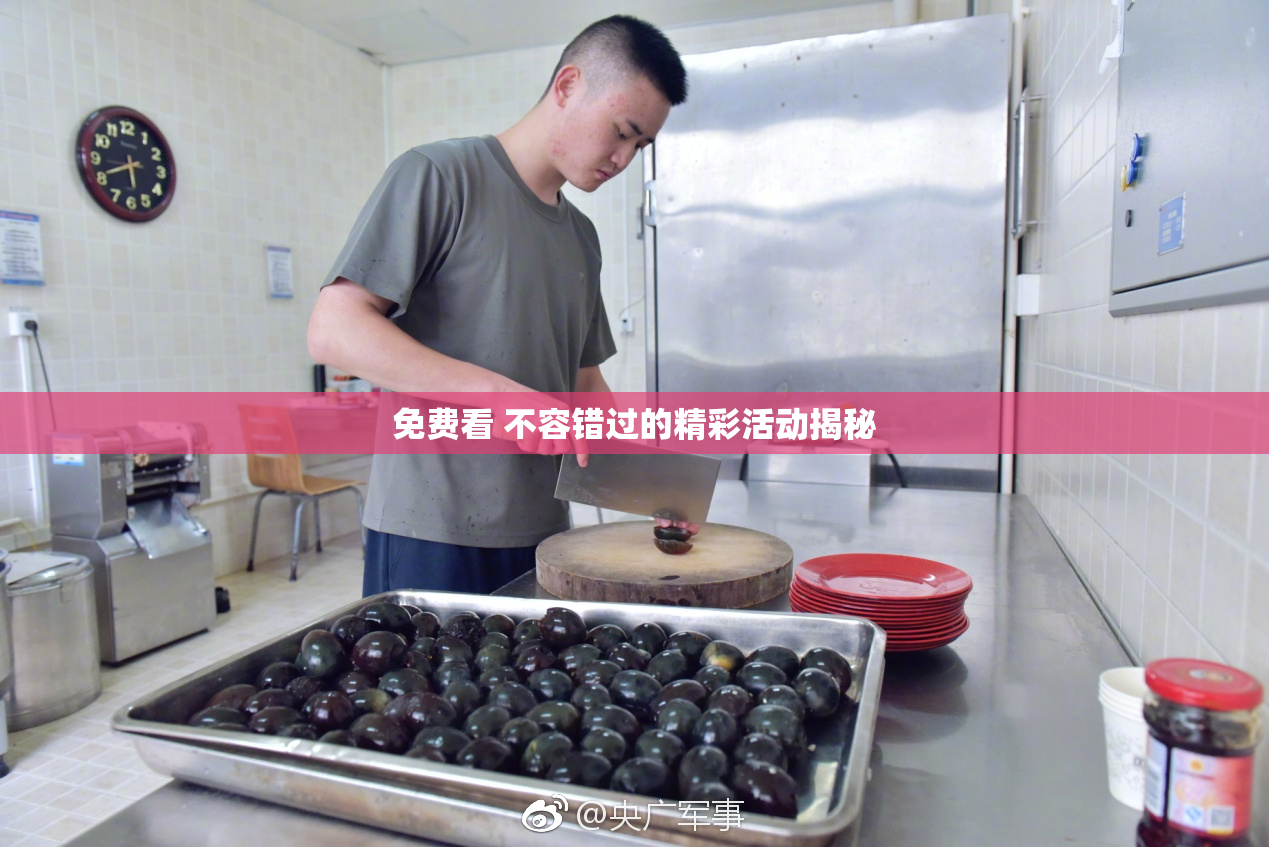 免费看 不容错过的精彩活动揭秘