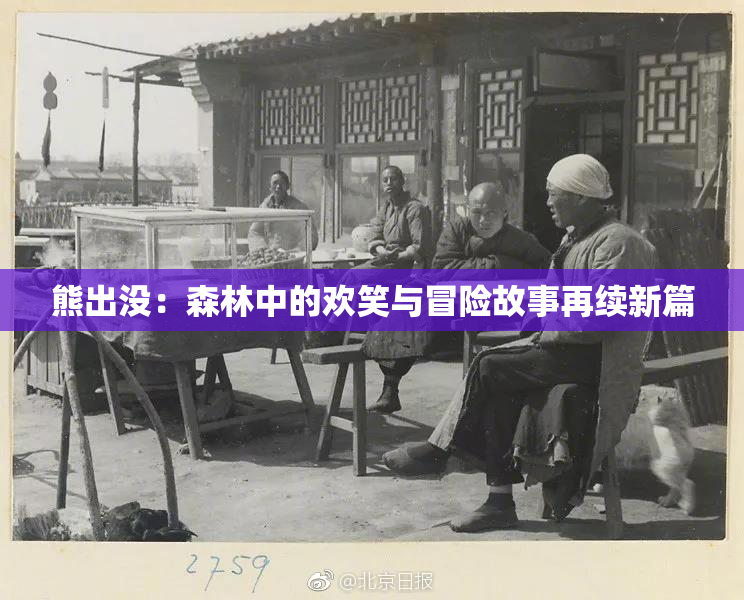 熊出没：森林中的欢笑与冒险故事再续新篇
