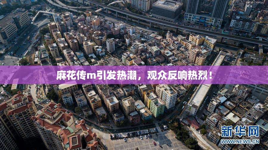 麻花传m引发热潮，观众反响热烈！