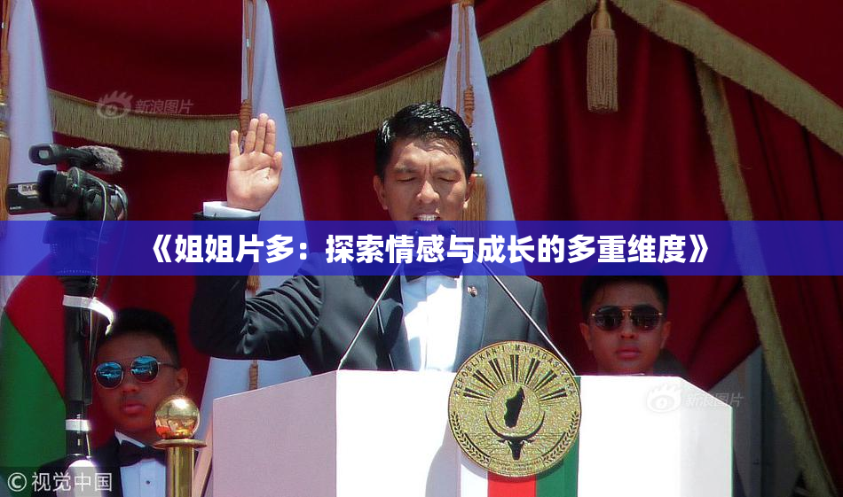 《姐姐片多：探索情感与成长的多重维度》