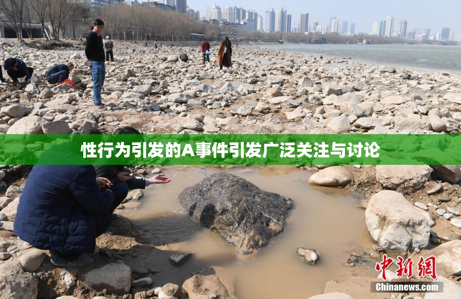 性行为引发的A事件引发广泛关注与讨论