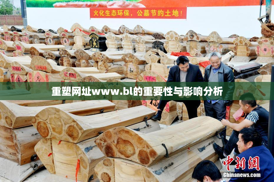 重塑网址www.bl的重要性与影响分析