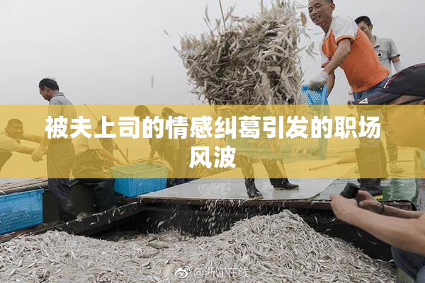 被夫上司的情感纠葛引发的职场风波