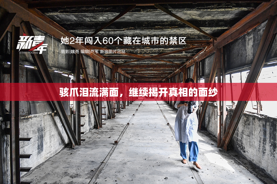 骇爪泪流满面，继续揭开真相的面纱