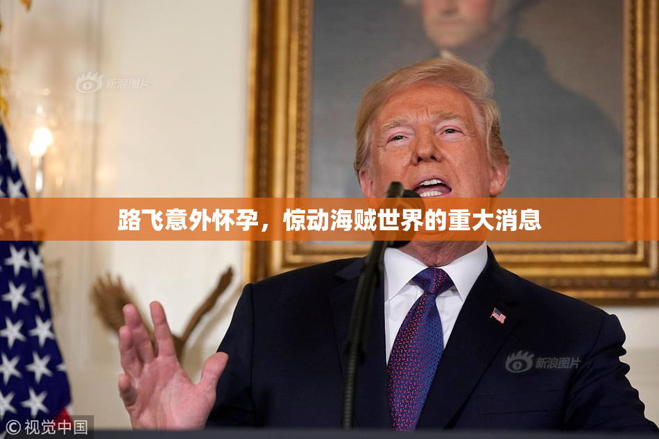 路飞意外怀孕，惊动海贼世界的重大消息