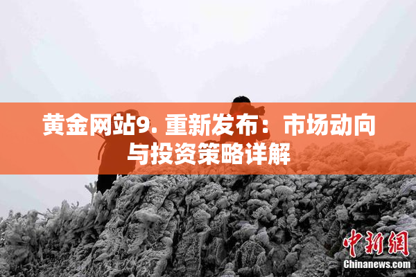 黄金网站9. 重新发布：市场动向与投资策略详解