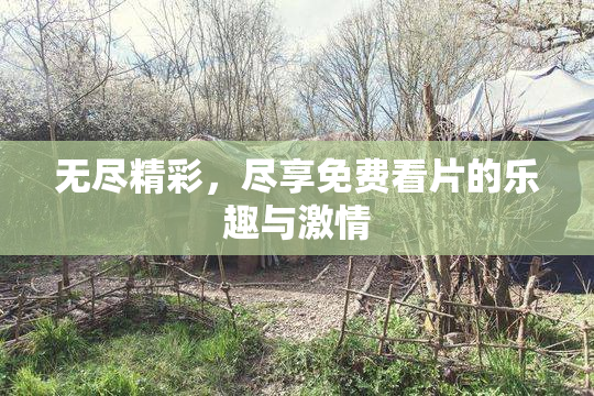 无尽精彩，尽享免费看片的乐趣与激情