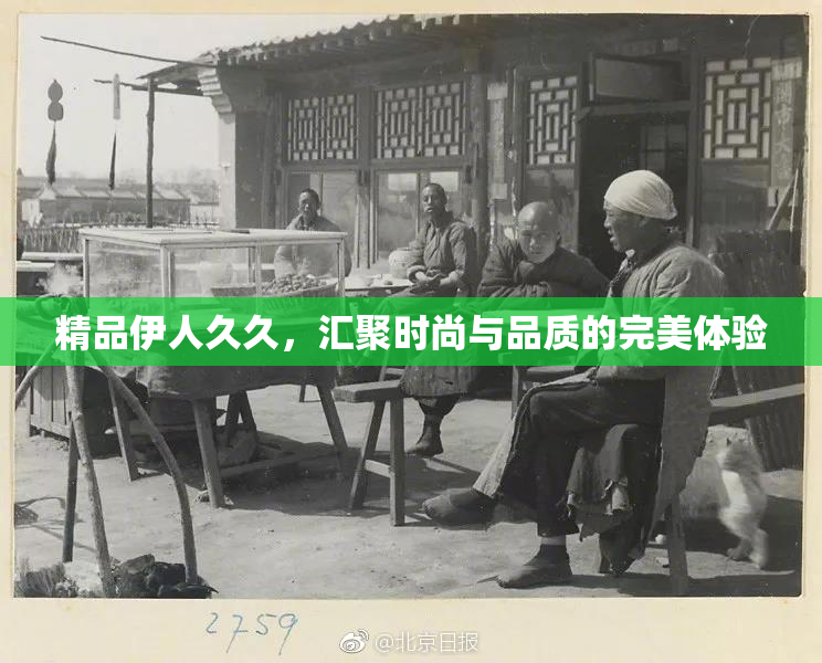 精品伊人久久，汇聚时尚与品质的完美体验