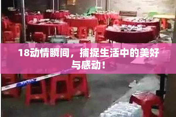 18动情瞬间，捕捉生活中的美好与感动！