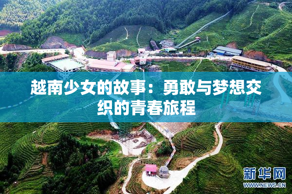 越南少女的故事：勇敢与梦想交织的青春旅程