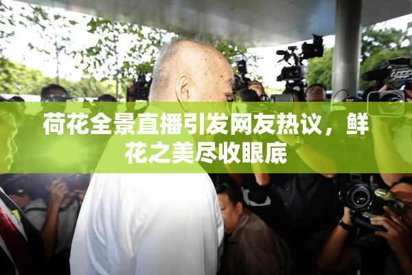 荷花全景直播引发网友热议，鲜花之美尽收眼底