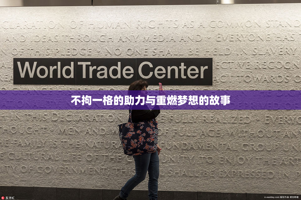 不拘一格的助力与重燃梦想的故事