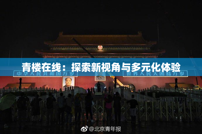 青楼在线：探索新视角与多元化体验