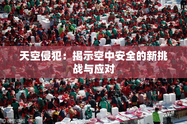 天空侵犯：揭示空中安全的新挑战与应对