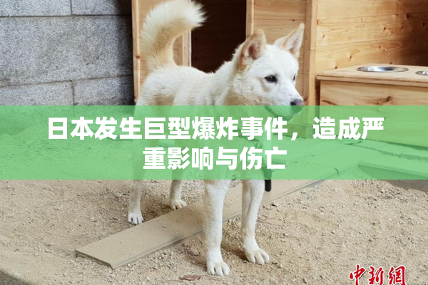 日本发生巨型爆炸事件，造成严重影响与伤亡