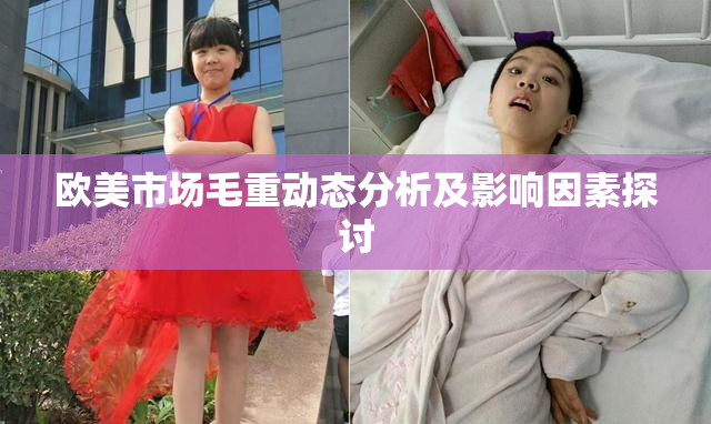 欧美市场毛重动态分析及影响因素探讨