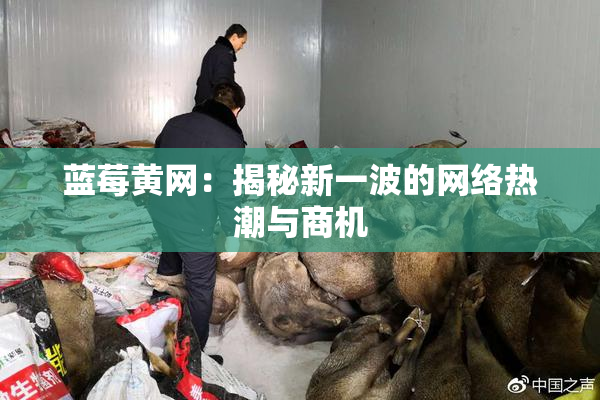蓝莓黄网：揭秘新一波的网络热潮与商机