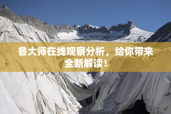 鲁大师在线观察分析，给你带来全新解读！