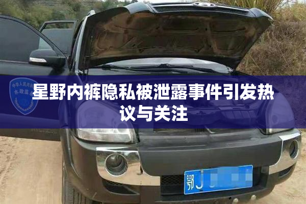 星野内裤隐私被泄露事件引发热议与关注