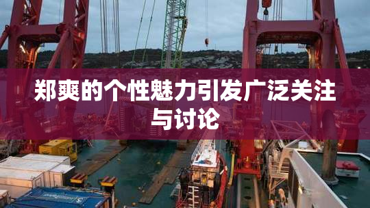 郑爽的个性魅力引发广泛关注与讨论