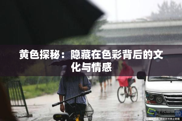 黄色探秘：隐藏在色彩背后的文化与情感