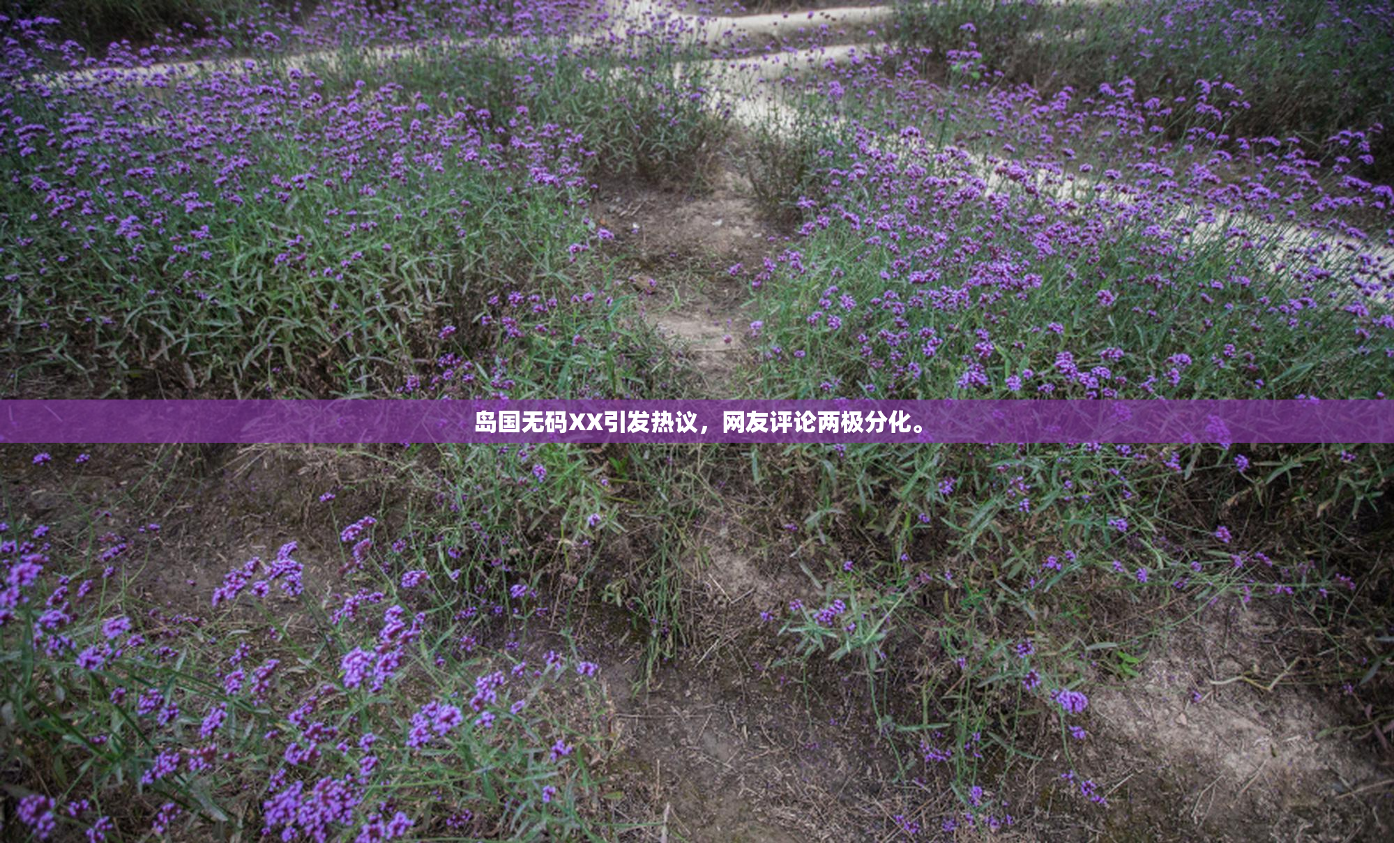 岛国无码XX引发热议，网友评论两极分化。