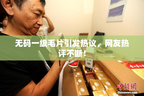 无码一级毛片引发热议，网友热评不断！