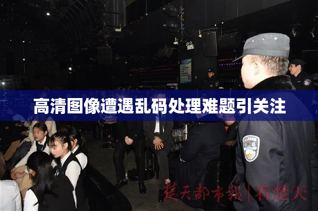 高清图像遭遇乱码处理难题引关注