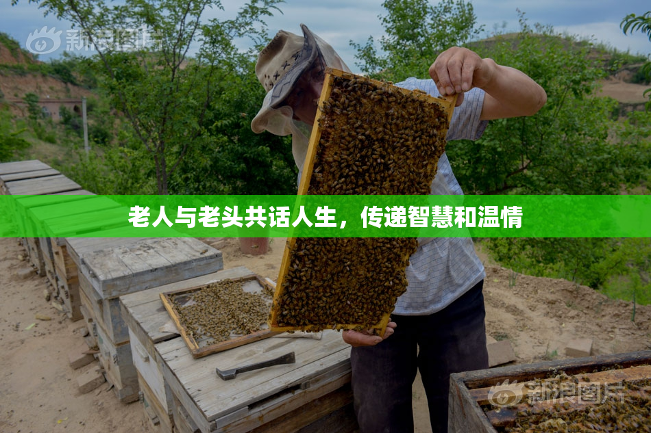 老人与老头共话人生，传递智慧和温情