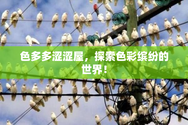 色多多涩涩屋，探索色彩缤纷的世界！
