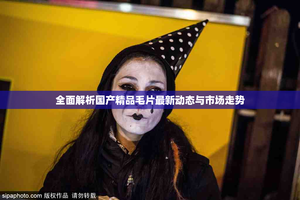 全面解析国产精品毛片最新动态与市场走势