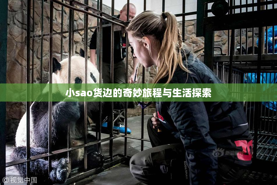 小sao货边的奇妙旅程与生活探索