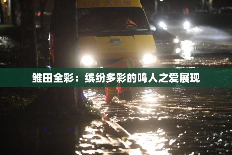 雏田全彩：缤纷多彩的鸣人之爱展现