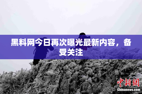 黑料网今日再次曝光最新内容，备受关注