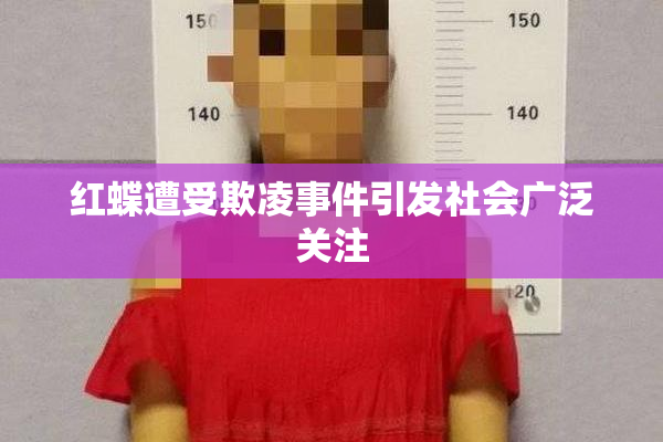 红蝶遭受欺凌事件引发社会广泛关注