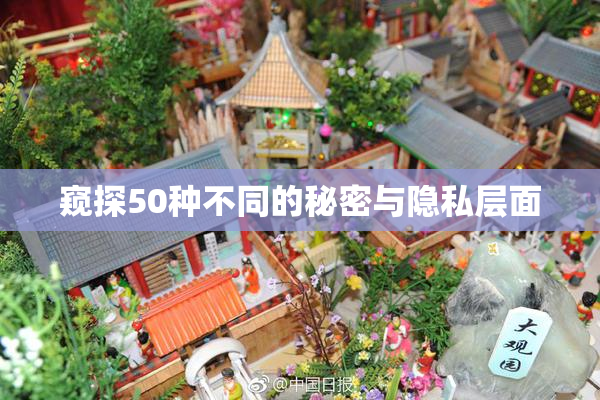 窥探50种不同的秘密与隐私层面