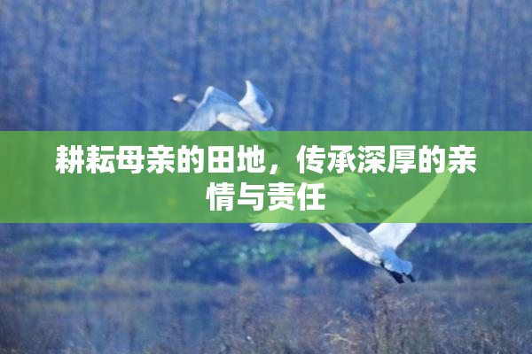 耕耘母亲的田地，传承深厚的亲情与责任