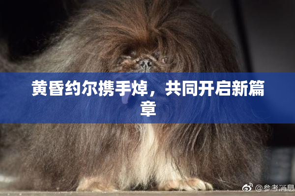 黄昏约尔携手焯，共同开启新篇章