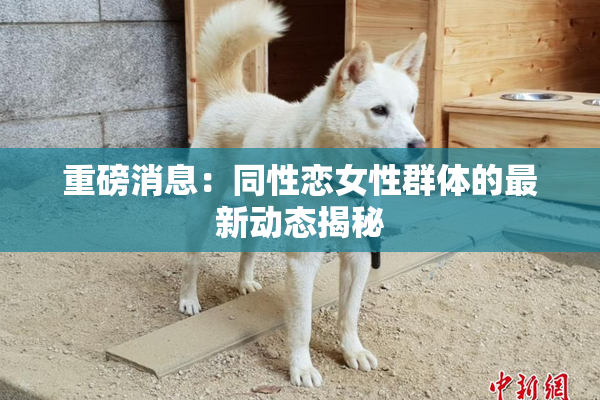 重磅消息：同性恋女性群体的最新动态揭秘