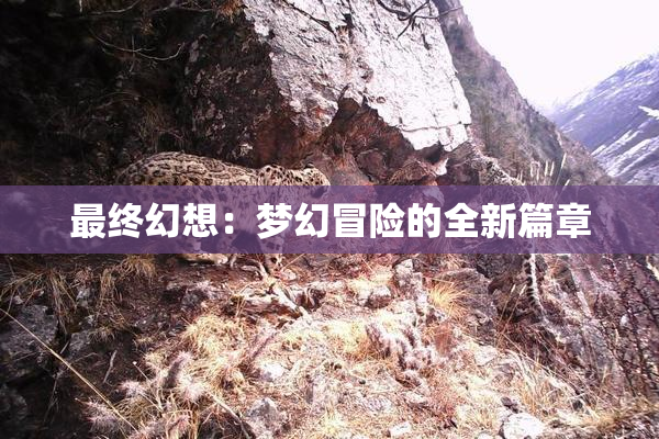 最终幻想：梦幻冒险的全新篇章
